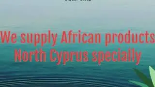 Online Shop in North Cyprus