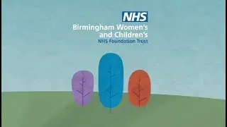 Birmingham Women's and Children's NHS Foundation Trust integration video