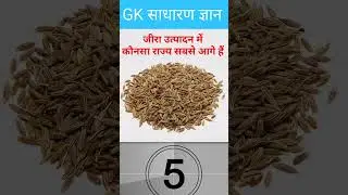 जिरा उत्पादन में कौन सा राज्य सबसे आगे हैं 🤔 jeera utpadan me kounsa rajya sabse age hai #shorts 💯🙏🙏