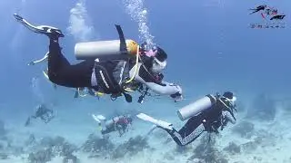 Sipadan Dive With Borneo Speedy Dive
