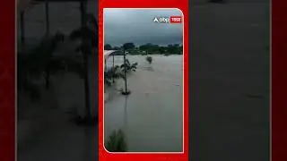 Parbhani ST BUS : एसटी बस पुरात वाहून जातानाचा परभणीतील भीषण व्हिडीओ