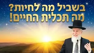 בשביל מה לחיות? 💥  הרב זמיר כהן בשיעור מרתק! 🌅 שתפו לכולם 