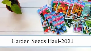 Garden Seed Haul 2021