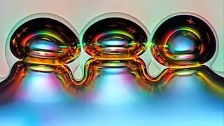 The most incredible microscope images of 2016