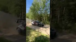 Full Send at #wrc #poland 🇵🇱