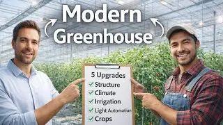 5 Smart Upgrades That Can Completely Transform Your Old Greenhouse