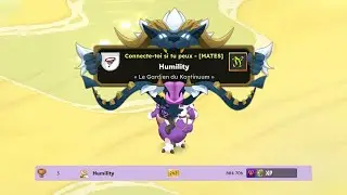 LE TOP LADDER DE DOFUS POUR LE PIRE ORNEMENT DU JEU !