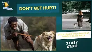 Stop Leash Pulling - 3 Easy Steps