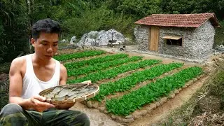 CEO Quits Career to Return to Farming: Live off grid, close to nature