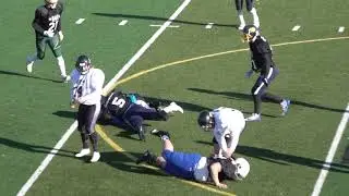 8 Man All Stars 2019