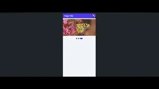 image Carasoul in @FlutterFlow  using Pageview