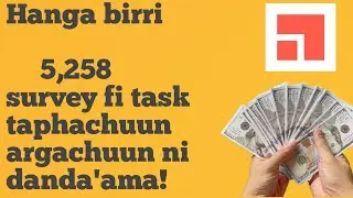 Qarshii 5000 ol survey hojjachuun argachuun ni danda'ama!