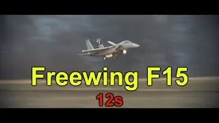 Freewing F-15 Eagle 90mm EDF Jet - 12s (12 Cells Lipo) - Re-Maiden