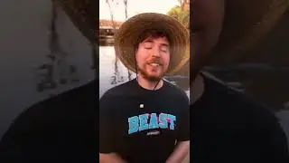 mrbeast sigma 🥶