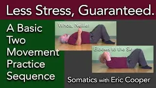 Less Stress, Guaranteed. Whoa, Nellie! & Elbows to the Sky: a basic Practice Sequence