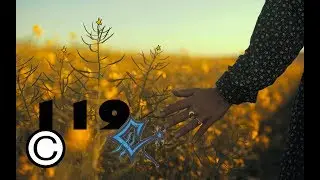 🎬 Taryn Elliott - Floral Caress 🌌 Nature/Human (No Copyright Video 119) [4K] 🇨🇦