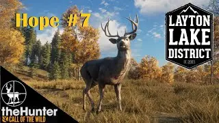 Hope #7 | High Lake Swamps Hunting Stand | Layton Lakes Reserve Side Missions | theHunter COTW