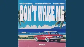 Don't Wake Me