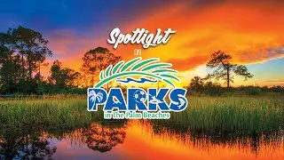 Spotlight on Parks in The Palm Beaches PBTV NOW Episode