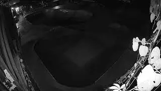 Quintal Skate Park - 30-01-2026 - Mini Ramp