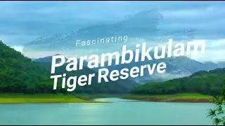 Parambikulam Tiger Reserve