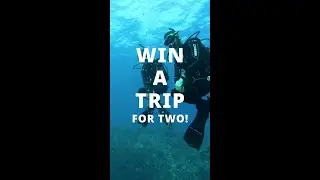 Join the 2025 PADI Master Scuba Diver Challenge