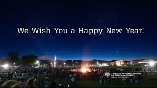 New Year Cheers!