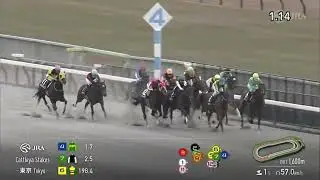 Satano Voyage Wins The 2025 Cattleya Stakes - 2026 Derby Prep - Tokyo Racetrack - 11/29/25