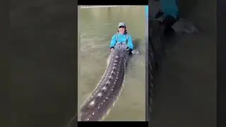 100 Jahre alter Riesen St&ouml;r 🐟