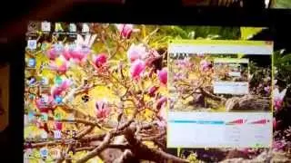 Quick Fix - OBS Laptop Black Screen