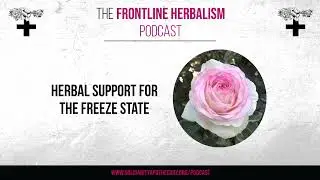 Herbal Support for the Freeze State (The Frontline Herbalism Podcast)