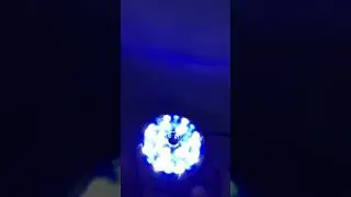 Glo-max Led Submersible Blue &White
