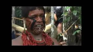 Patax&oacute; e Botocudos