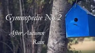 Erik Satie Gymnopedie No 2 | After Autumn Rain