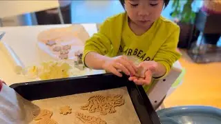 [Vlog] Gingerbread dinosur! Pepperkaker dinosaur !