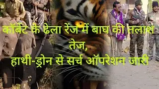 Tiger Still Missing in Corbett&rsquo;s Dhhela Range, Villagers in Fear, Massive Search Operation Continues