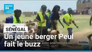 L'instant + : un jeune berger peul fait le buzz au S&eacute;n&eacute;gal apr&egrave;s 5 ans de transhumance