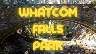 A Step Into Nature: Join Me on a Tour of Whatcom Falls!