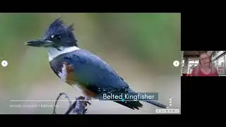 Birding 101: Calgary&rsquo;s (Un)common Birds and Where to Find Them