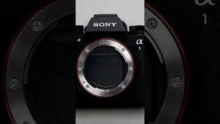 Sony A1 II's CRAZY Pre-Capture #SonyA1II 📸