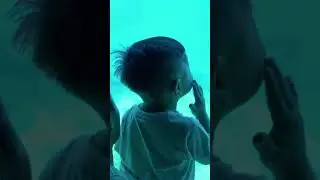 #shorts Semua Ikan di ajak Ngobrol sama Issa