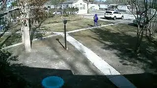 Shady Neighbors