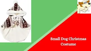 Dog Christmas Outfit | Puppy Christmas Outfits | Small Dog Christmas Outfit | #shorts