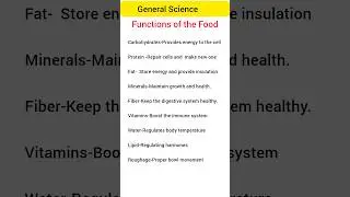 The Major functions of food|Food and it's functions