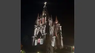 Xotic