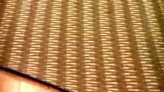 Patterned carpet Bow and Skew