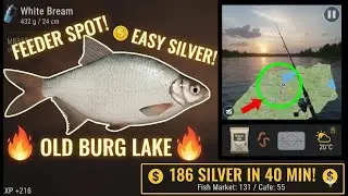 🎣 RF4 White Bream GOLDMINE! 🐟 Old Burg Feeder Spot (186 Silver/40min!)