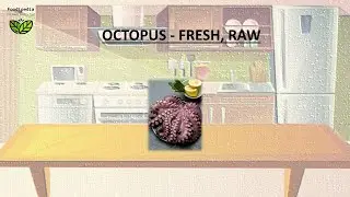 OCTOPUS - FRESH, RAW. FOOD STORAGE - HOW LONG CAN YOU KEEP.