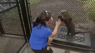 You can meet with giant river otters at Moody Gardens | HTX+ Galveston