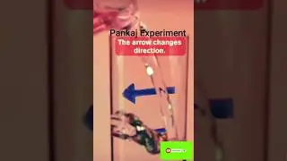 Reverse Reality With Refraction In This Easy Science Experiment 📱👀📱 ||#viral #science  #sorts